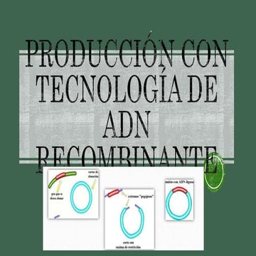 Producción con tecnología de adn recombinante