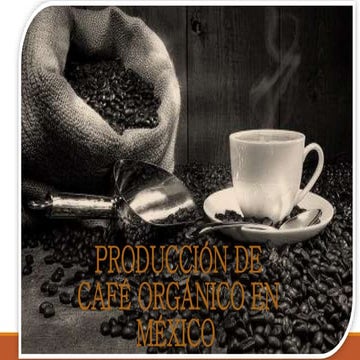 Producción de café orgánico en méxico