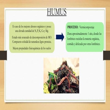 PRODUCCIÓN DE HUMUS.pptx