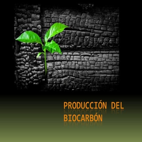 Producción del Biocarbón