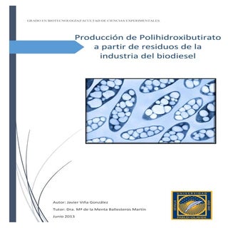 Producción de phb a partir de resid...