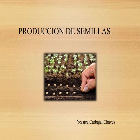 Producción de semillas.pptx
