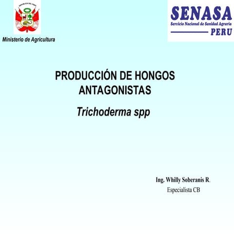 PRODUCCIÓN HONGOS Trichoderma para control.ppt