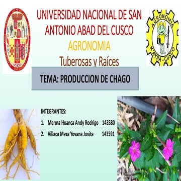 Produccion de chago | PDF