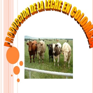 Produccion de leche en colombia 