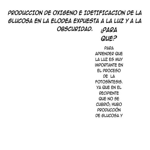Produccion de oxigeno e identificacion en elodea expuesta a la luz y a la obscuridad.[1]