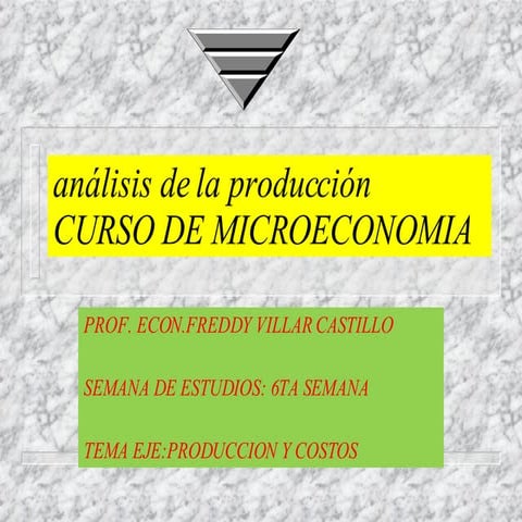 Producci On Y C Ostos En M Icroeconomia[1]