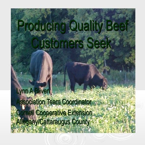 Producing quaility beef