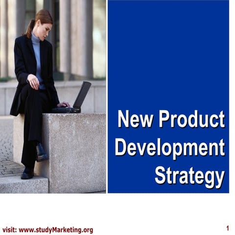 Product development strategy