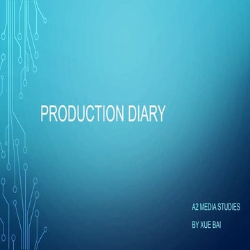 Productin Diary