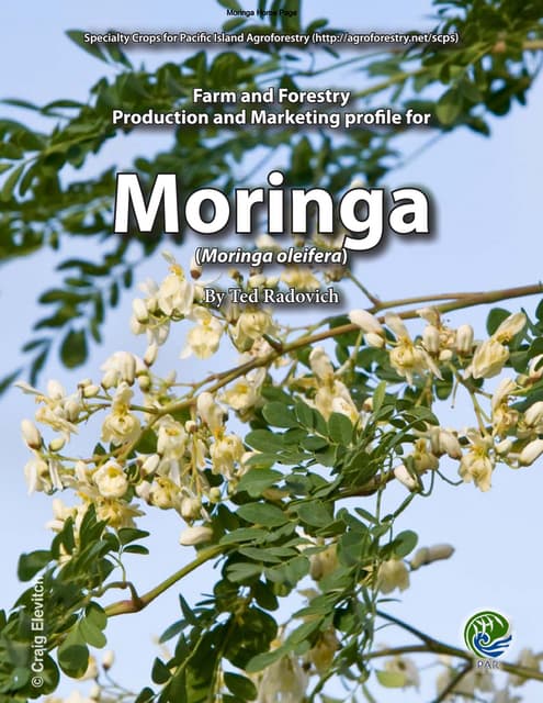 Production technology of moringa | PPTX