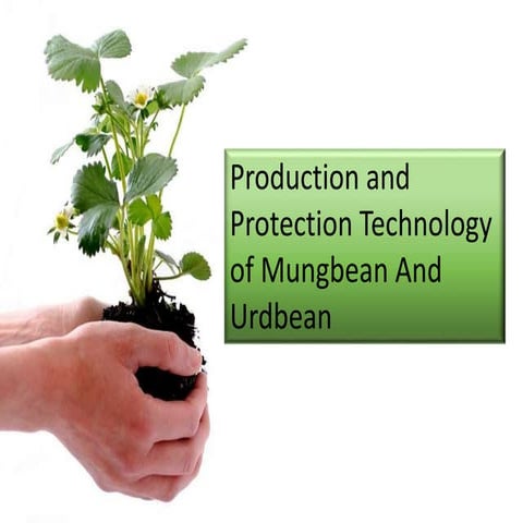 Production and protection technology of mungbean &amp; urdbean