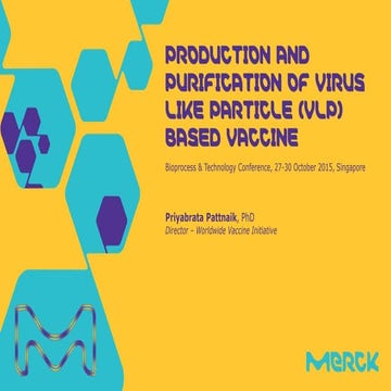 Production and Purification of Virus Like Particle (VLP) based Vaccine