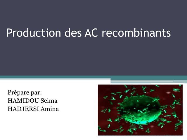 Production des ac recombinant