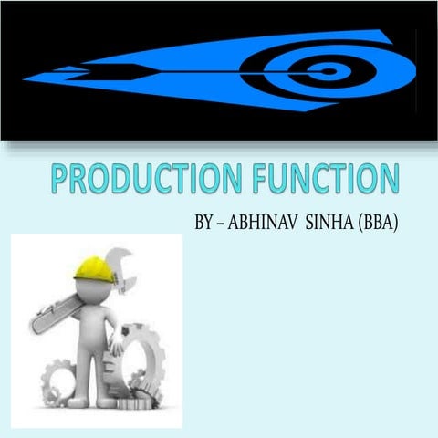 Production function