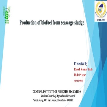 Production of biofuel from seawage sludge