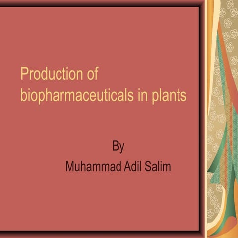 Production of biopharmaceuticals in plants