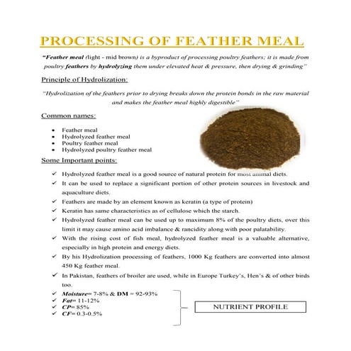 Production of feather meal