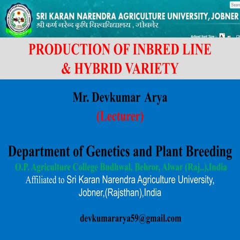 Plant Breeding: The Process of production of inbred lines & hybrid variety | ...