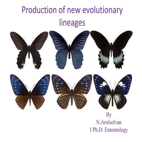 Production of new evlutionary lineages | PPTX