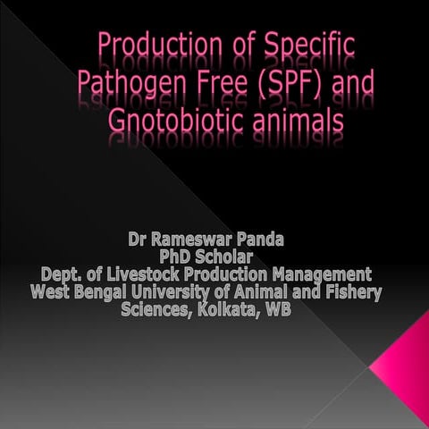 Production of Specific Pathogen Free and Gnotobiotic animals