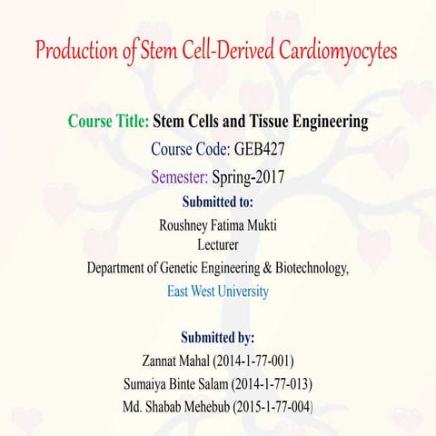 Production of stem cell derived cardiomyocytes