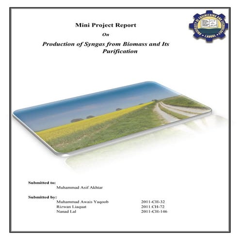 Production of Syngas from Biomass  