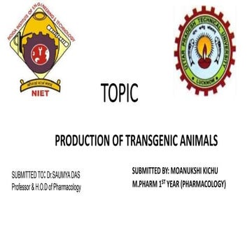 production of transgenic animals. pptx