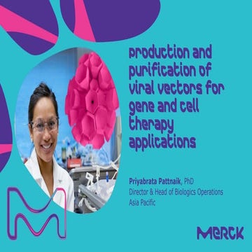 Production and purification of  Viral vectors for gene and cell therapy applications