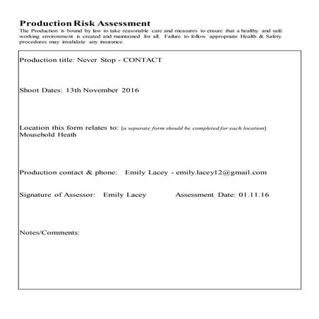 Production risk assessment | DOCX