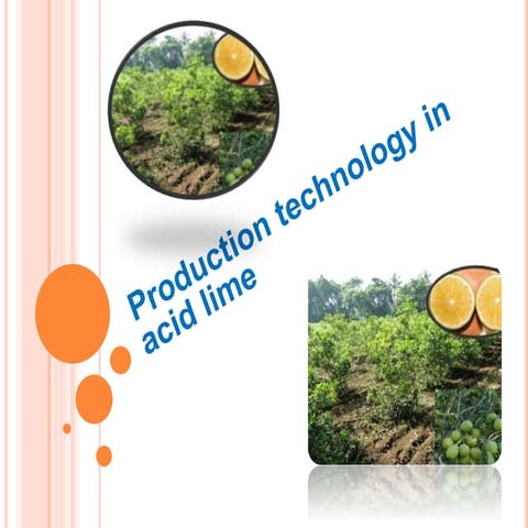 Production technology of acid lime