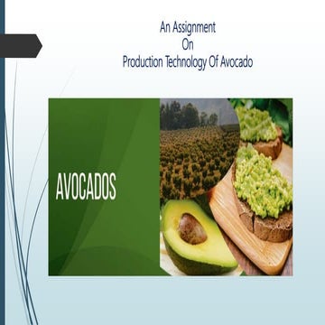 Production technology of avocado in bangladesh