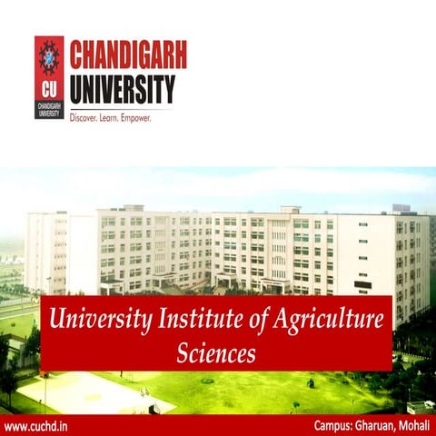 Production technology of Beetroot (2).ppt