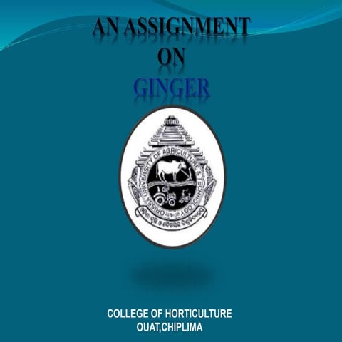 Production technology of ginger