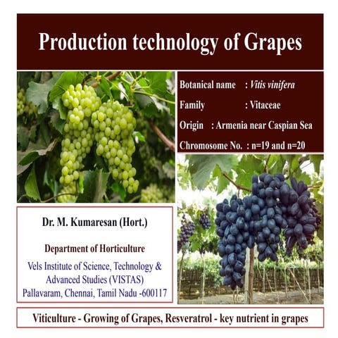 Advances in production technology of Grapes.pdf