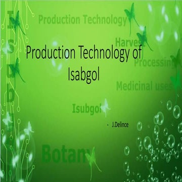 Production technology of isabgol (plantago ovata)