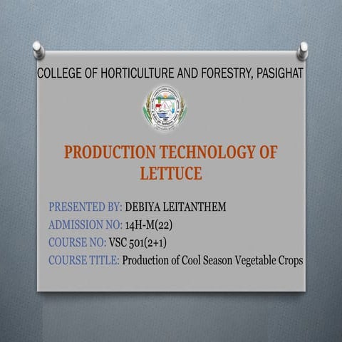 PRODUCTION TECHNOLOGY OF LETTUCE-debiya.pptx