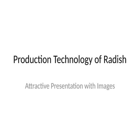 Comprehensive Guide to Radish Production Technology and Uses | PPTX