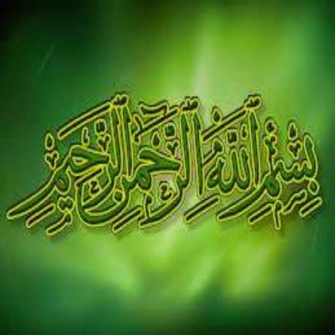 Production technology of stevia