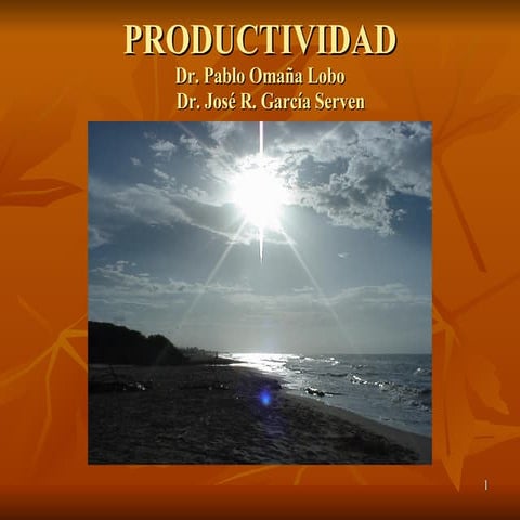 Productividad Y Competitividad