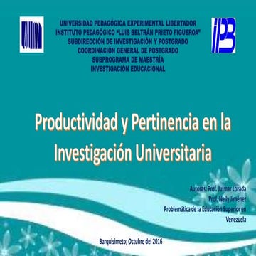 Productividad y pertinencia en la investigacion univ.