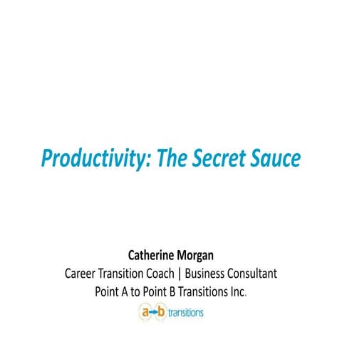 Productivity: The Secret Sauce for Success - Job Search 