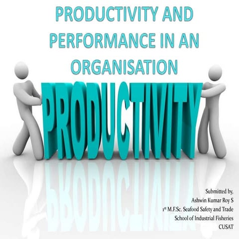 Productivity and performance in an organization