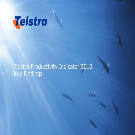 Telstra Productivity Indicator 2010 - Key Findings