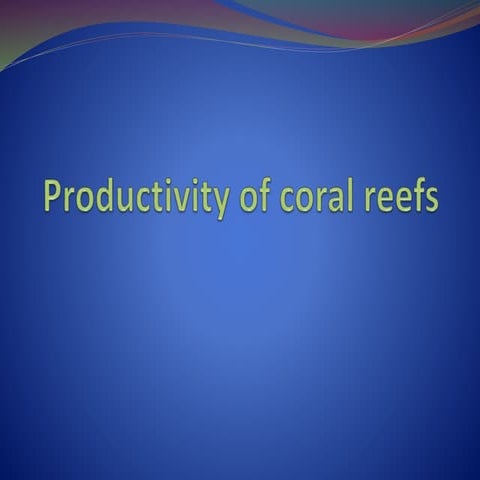 Productivity of coral reefs
