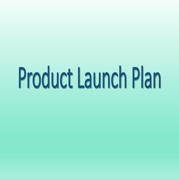 Product launch plan 