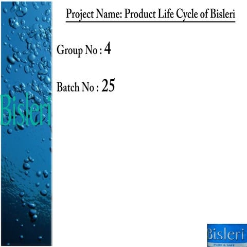 Product life cycle