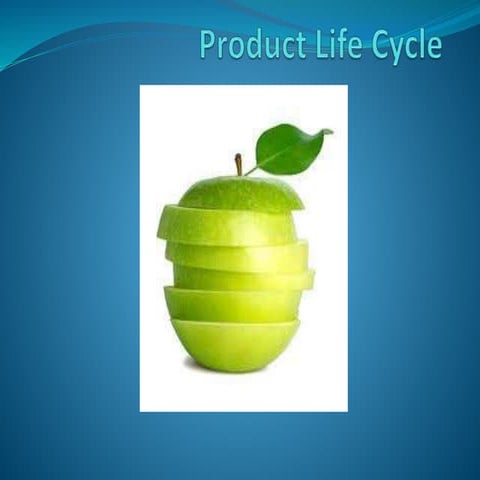 Product life cycle