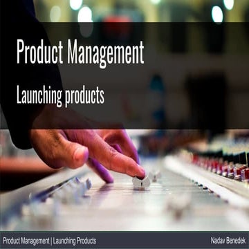 Product Launch Template | PDF