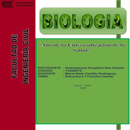 Producto academico 02 biologia celulas